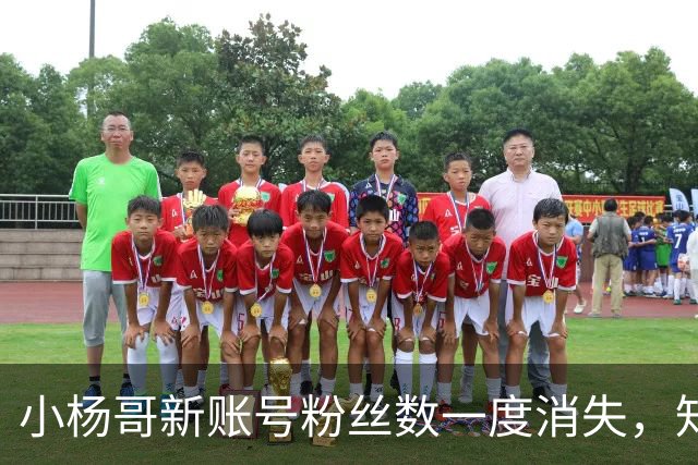 小杨哥新账号粉丝数一度消失，知情人士称为短暂数据异常